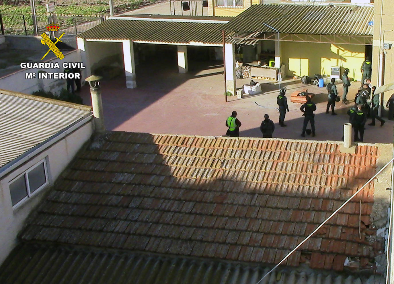 Fotos: Cae un grupo criminal dedicado al cultivo y tráfico de drogas en Murcia