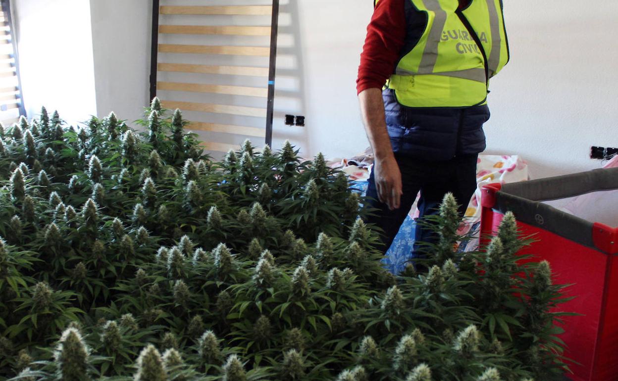 Momento del dispositivo de la Benemérita.