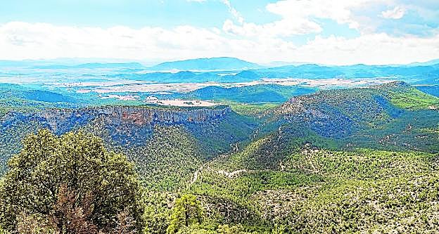 El Refugio de Fauna del monte El Bebedor y la rambla de las Buitreras, en Moratalla. 