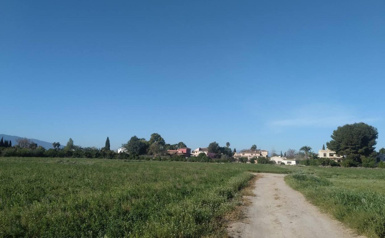 Parcela de cultivo abandonada, afortunadamente aún sin construir, entre el Camino Puente Magaz y el Camino de Guadalupe.