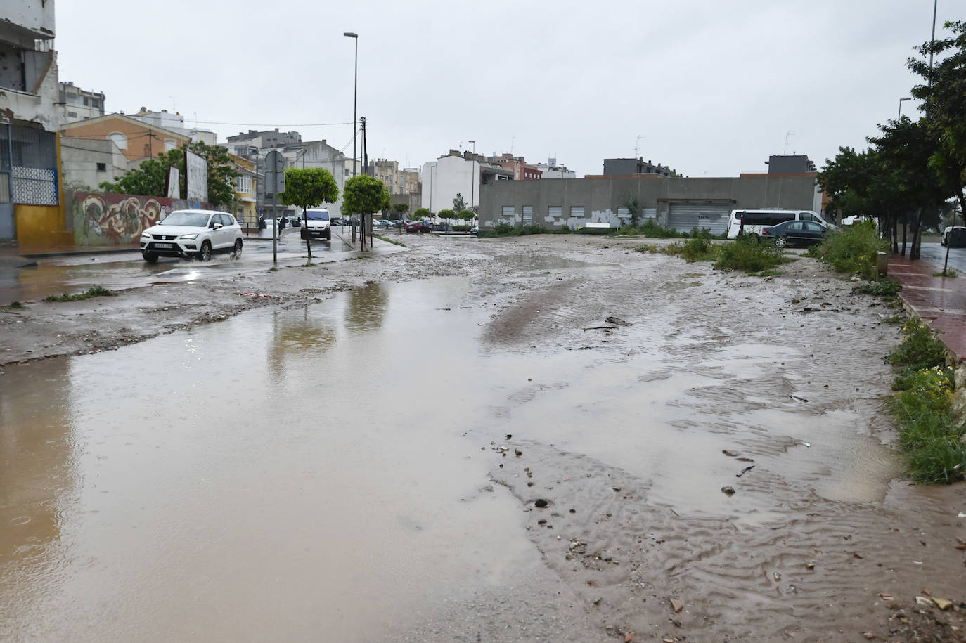 Efectos del temporal en Espinardo.