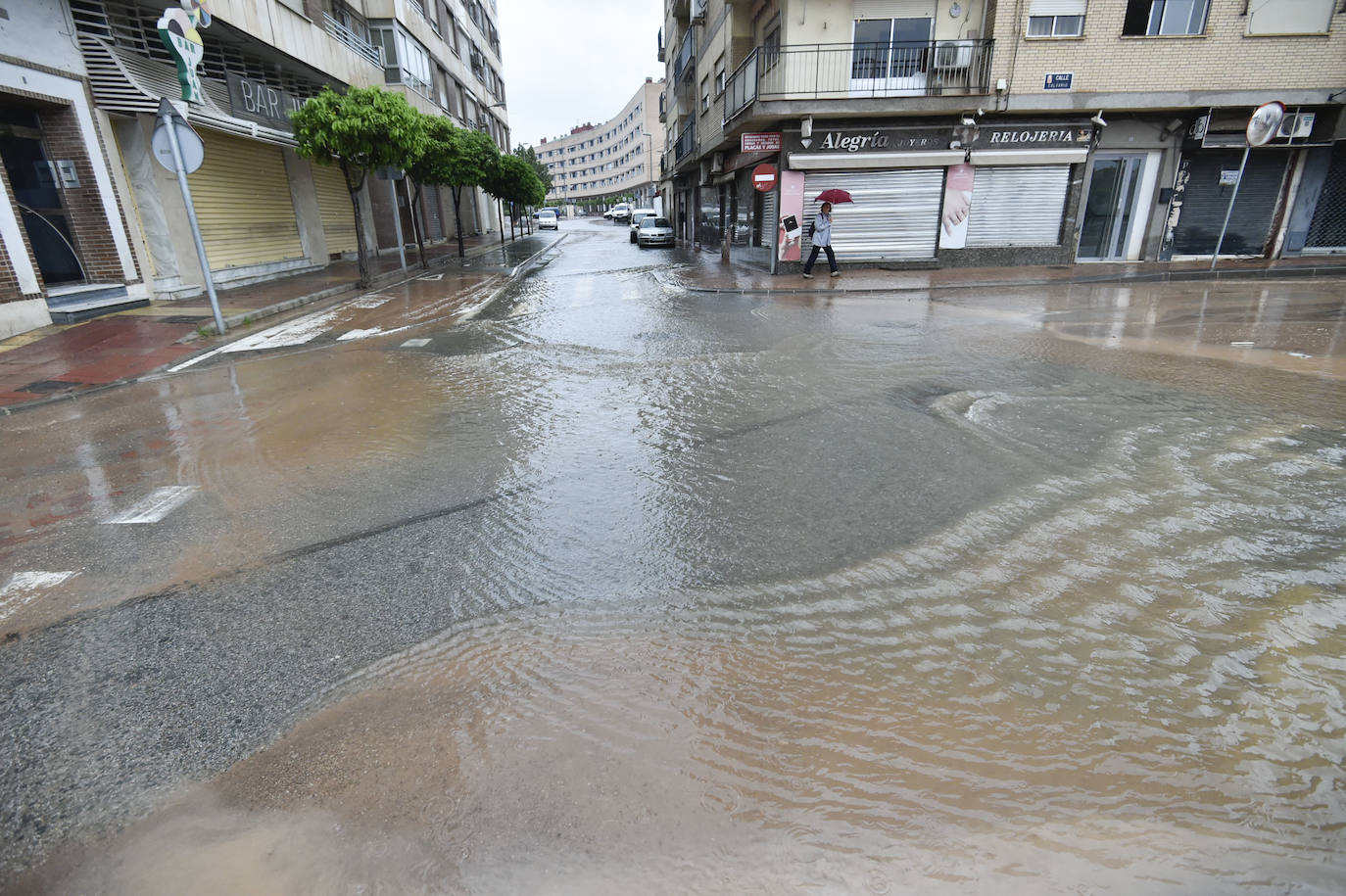 Efectos del temporal en Espinardo.