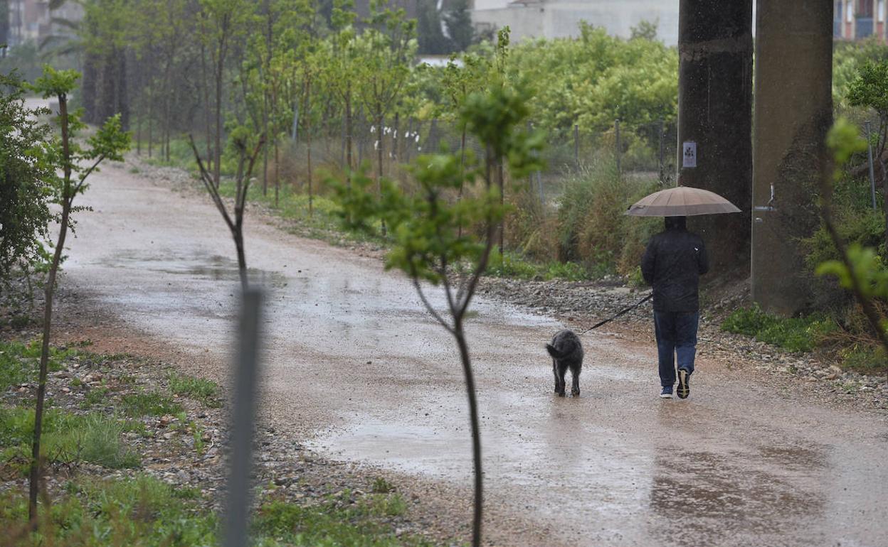 Un vecino de Torreagüera pasea a su perro bajo la lluvia.