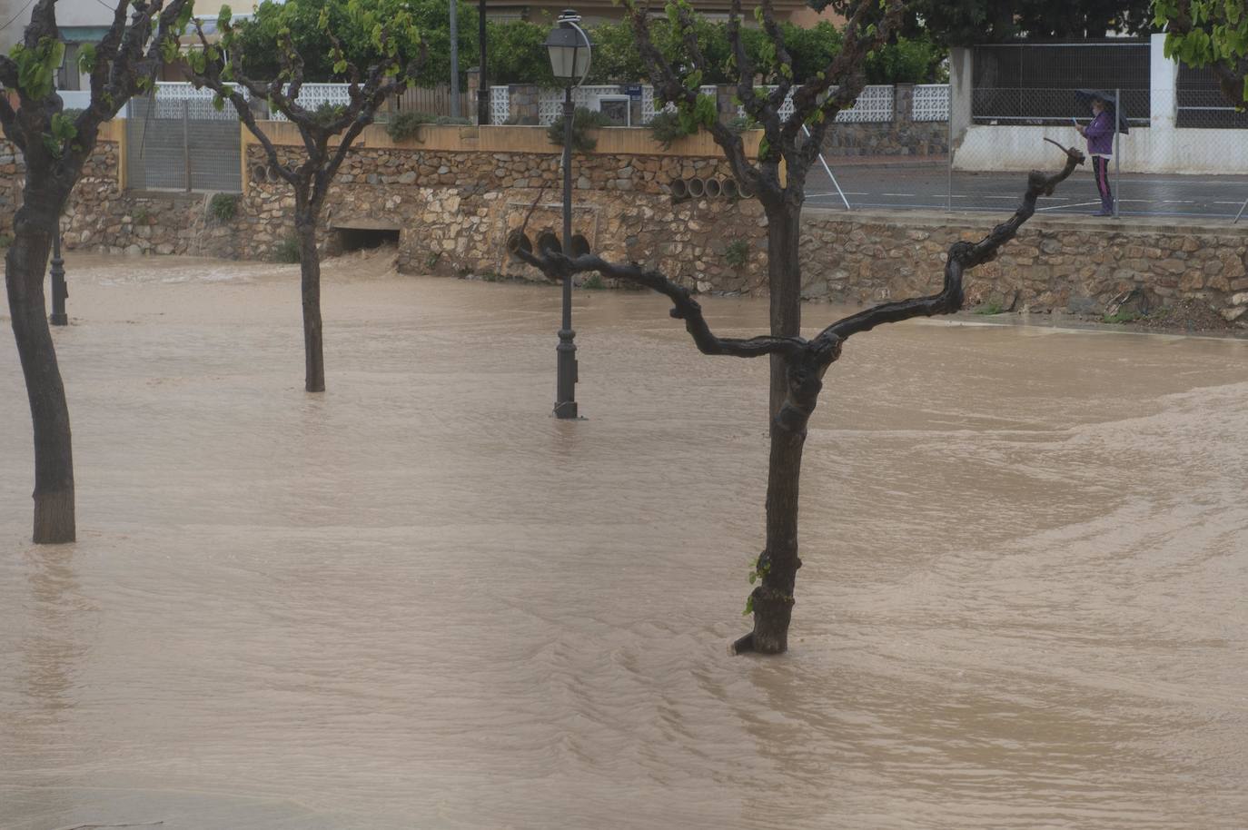 Fotos: Las lluvias vuelven a anegar Los Alcázares