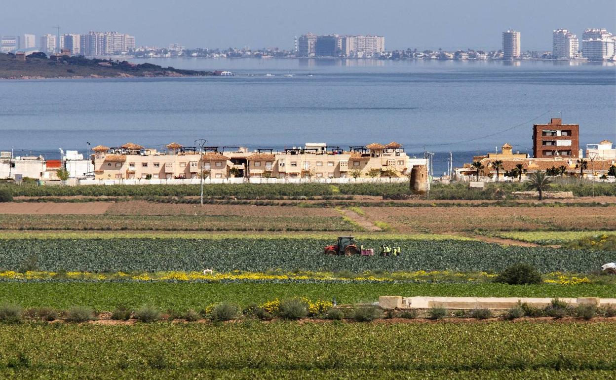 Una cuadrilla de peones agrícolas, trabajando en un cultivo junto a la laguna.