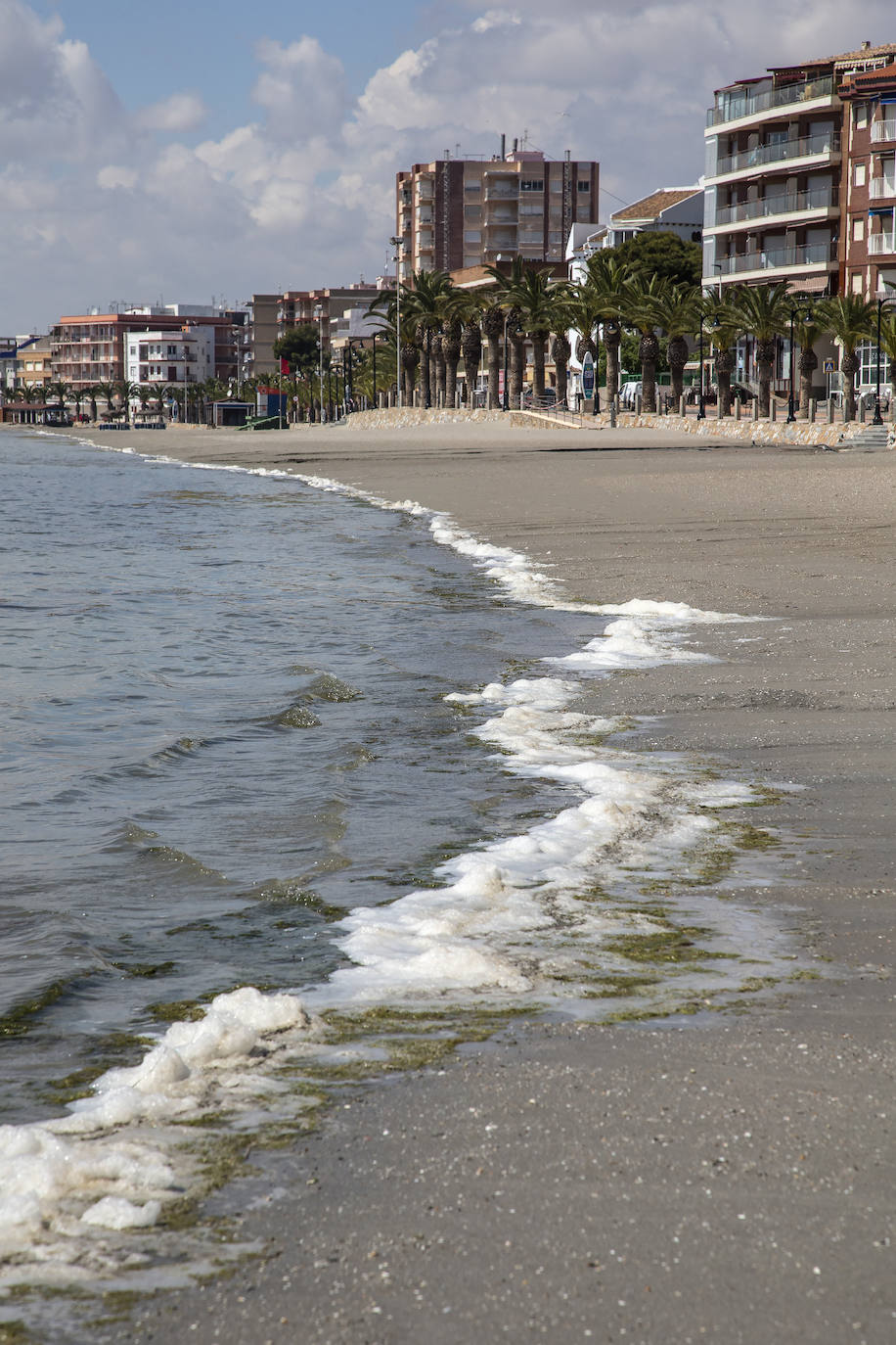 Fotos: El Mar Menor empeora: se dobla la clorofila y se triplica la turbidez