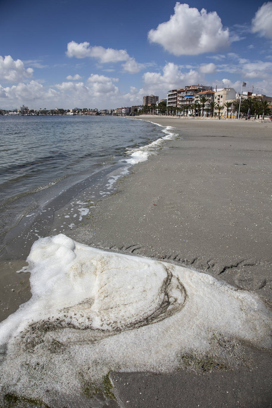 Fotos: El Mar Menor empeora: se dobla la clorofila y se triplica la turbidez