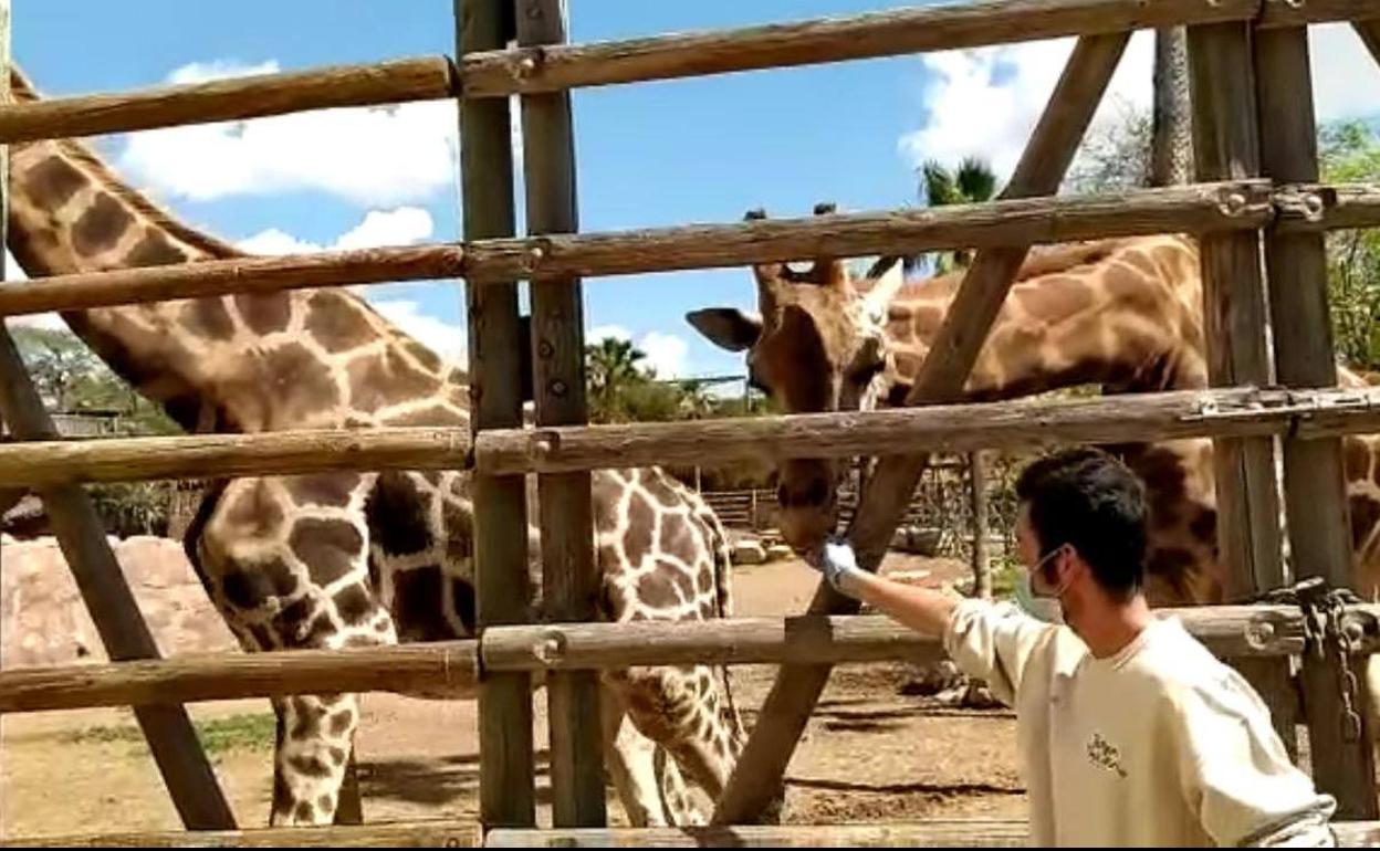 Terra Natura abre sus puertas a través de las redes sociales | La Verdad