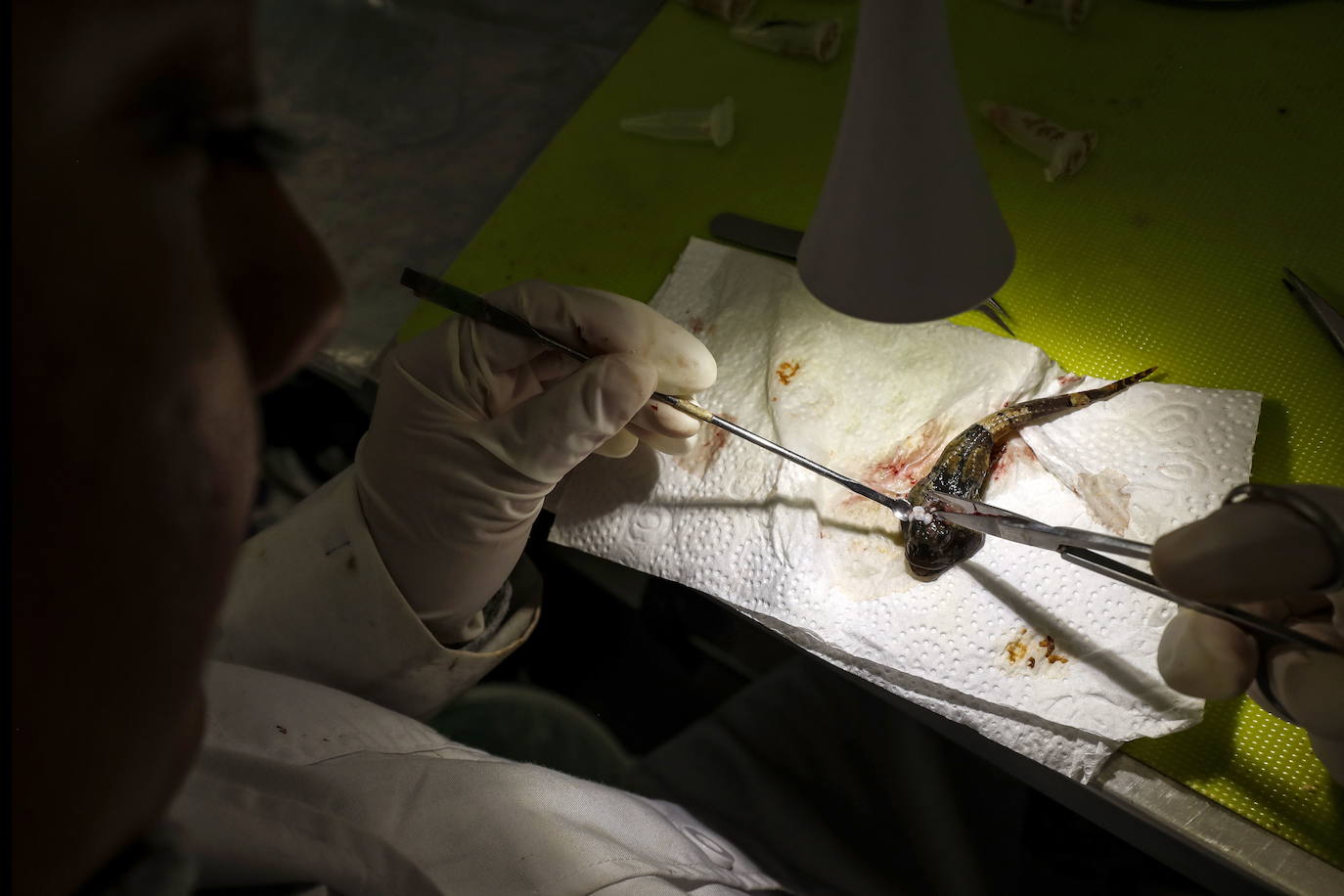 Fotos: Los secretos de la Antártida