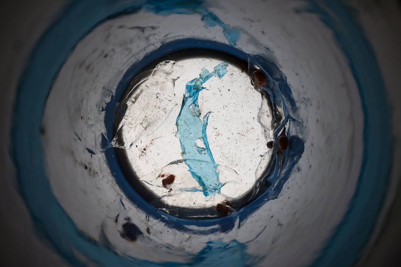 Fotos: Los secretos de la Antártida