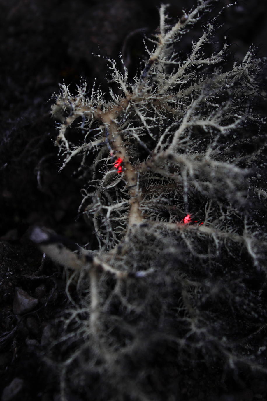 Fotos: Los secretos de la Antártida