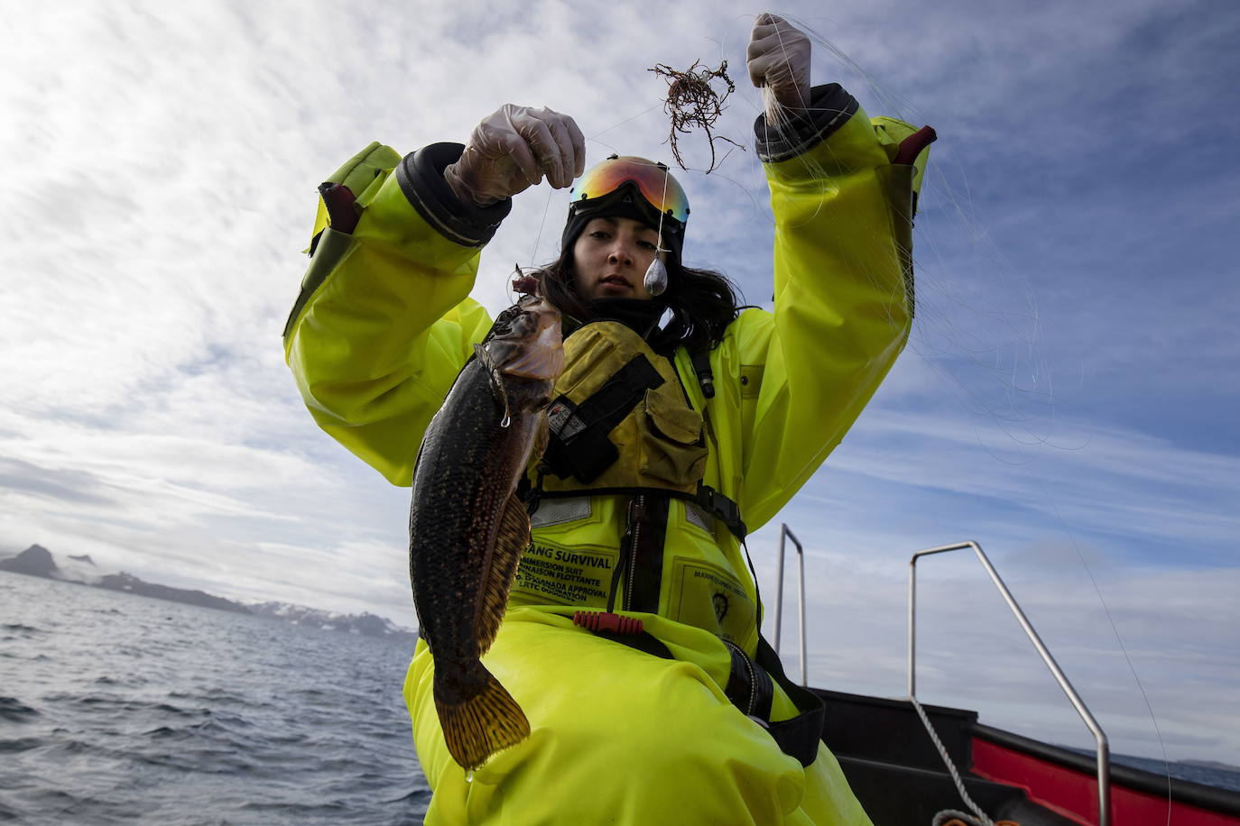 Fotos: Los secretos de la Antártida