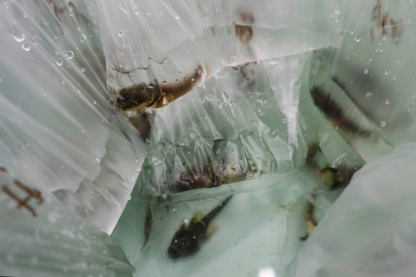 Fotos: Los secretos de la Antártida