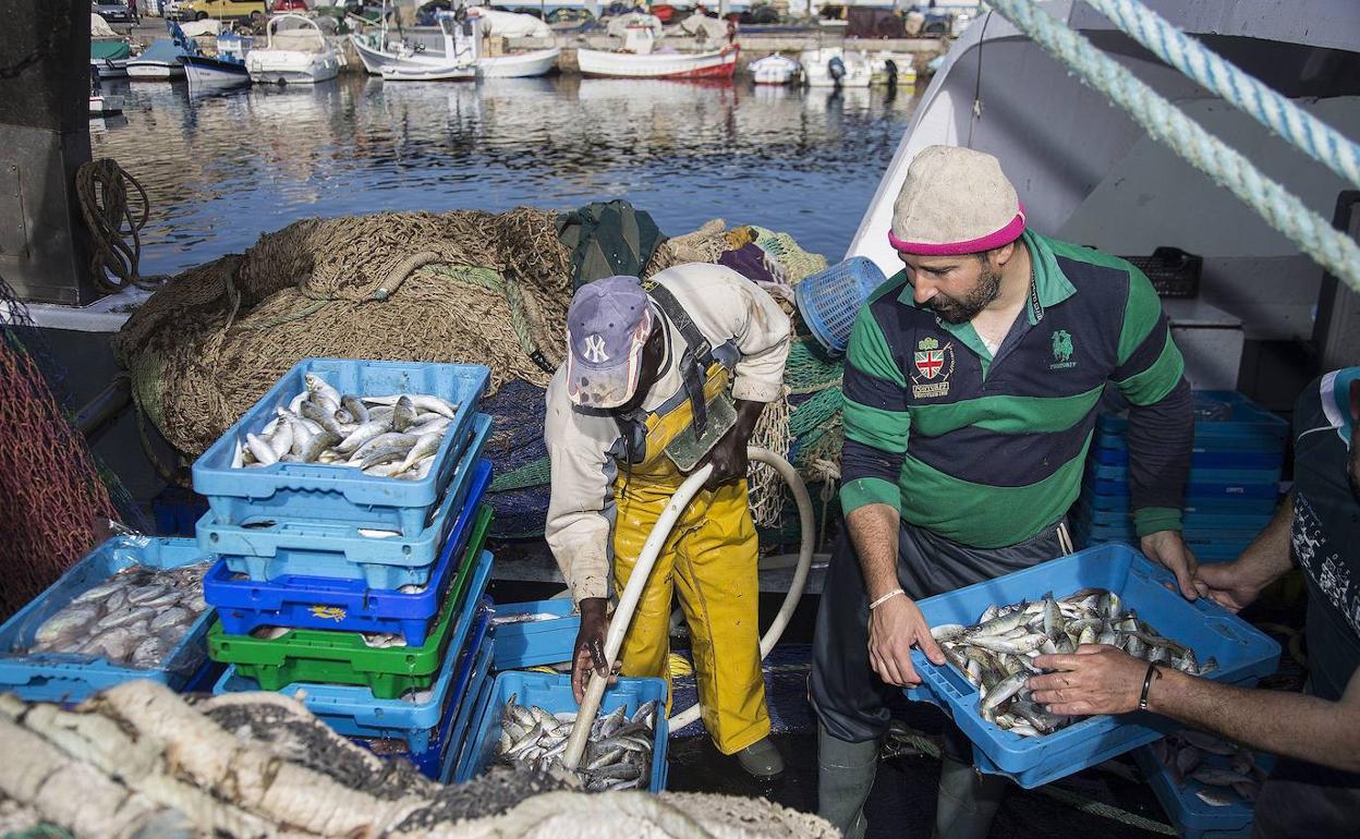 Pescadores de Cartagena, en una fotografía de archivo.