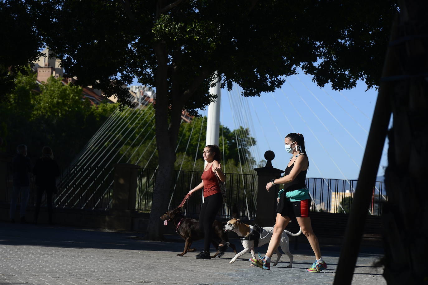 Fotos: Los murcianos salen a pasear y hacer deporte tras más de un mes de confinamiento