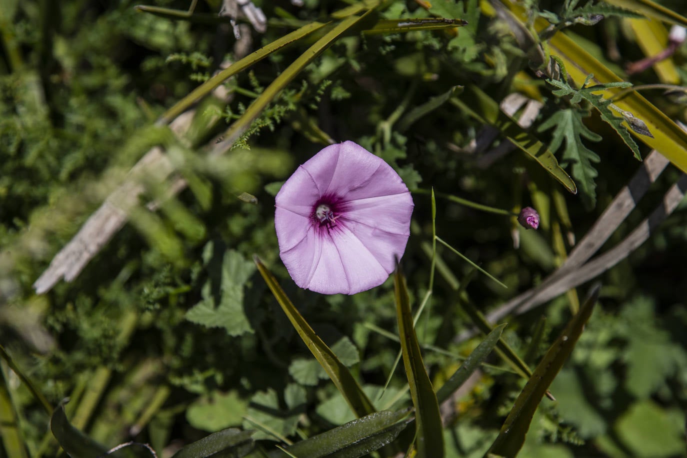Fotos: «Quiero dejar la Peña del Águila en buenas manos»