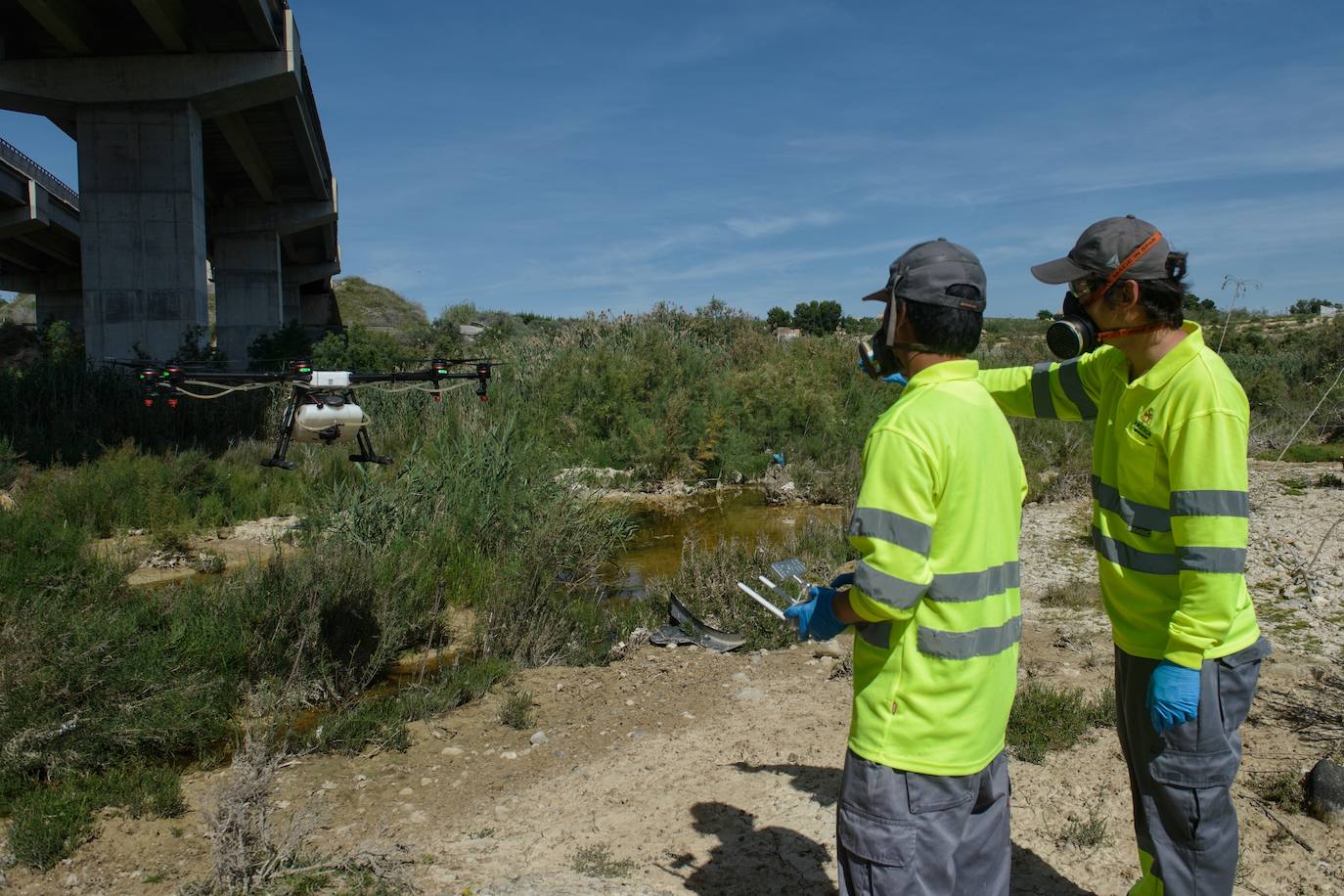 Fotos: Fumigar a vista de pájaro