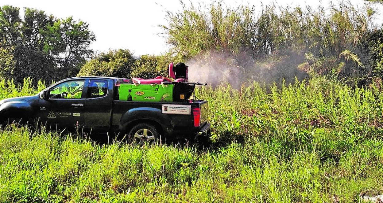 Operarios durante las tareas de fumigación en un paraje yeclano. 