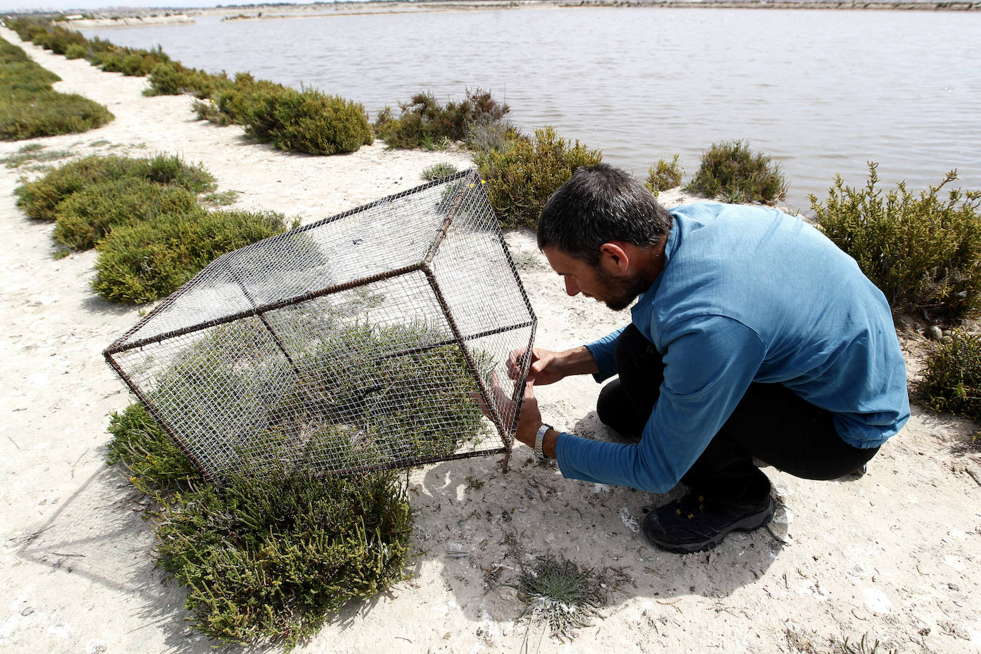 Fotos: La ruta gastronómica de las gaviotas