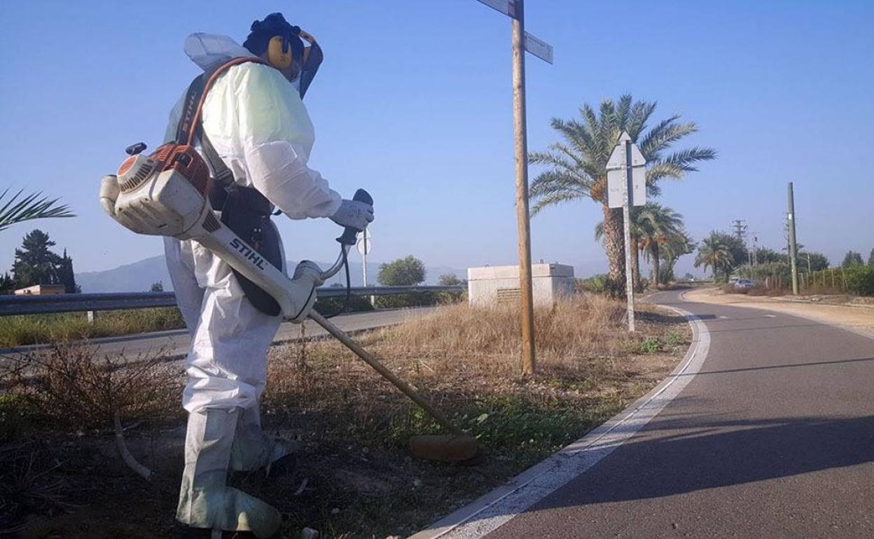 Labores de limpieza en el carril bici de Murcia.