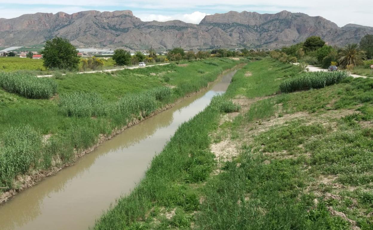 Tramo del río Segura en una de las zonas donde la Confederación Hidrográfica registró ayer vertidos.