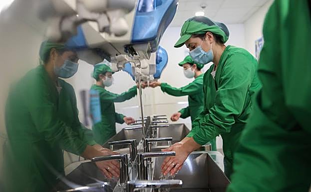 Galería. Así son los protocolos de seguridad en los almacenes hortofrutícolas