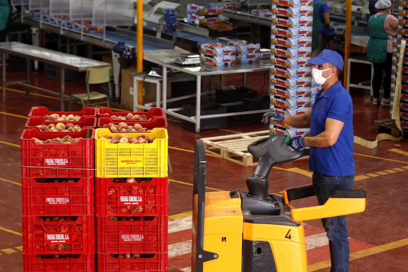 Fotos: Medidas de seguridad de Frutas Torero, de Abarán