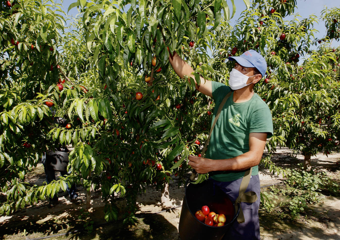 Fotos: Medidas de seguridad de Frutas Torero, de Abarán