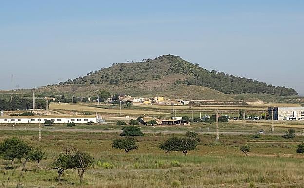 Imagen principal - Vista panorámica del Cabezo Ventura. | Trabajos de repoblación en este espacio verde junto al Polígono Industrial de Los Camachos. | Especie autóctona recién plantada.