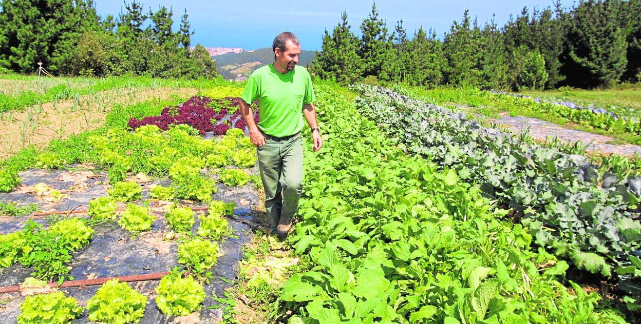 Explotación de agricultura ecológica. 