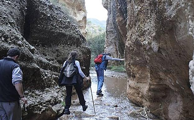 Recorrido por el río Chícamo, en Abanilla. 