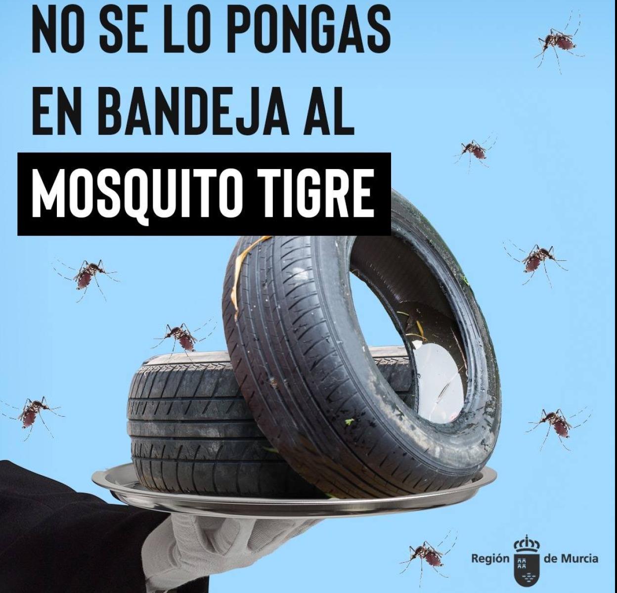 Imagen de la campaña. 