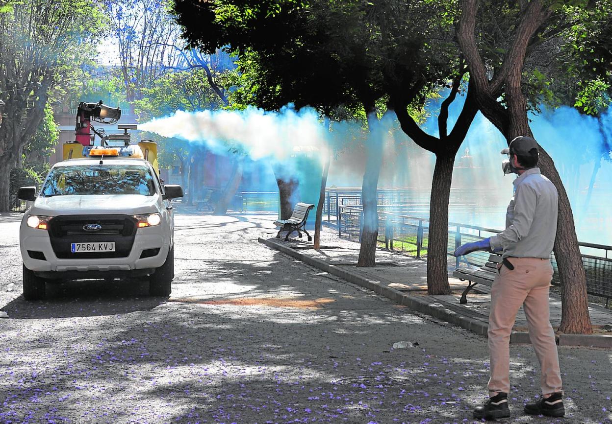 Fumigación contra los mosquitos en La Paz y Vistabella
