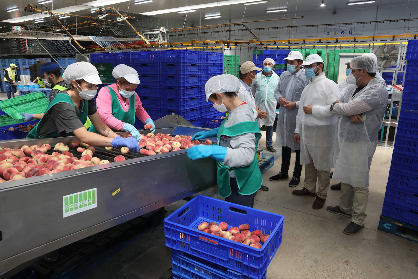 Fotos: La pandemia pasa factura en la cooperativa Alimer