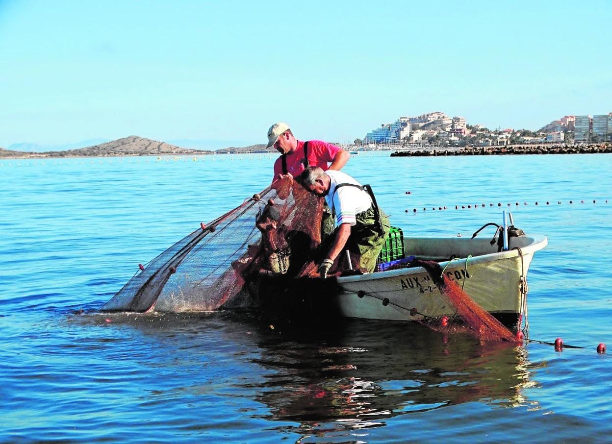 Del mar a la lonja: todo sobre la pesca