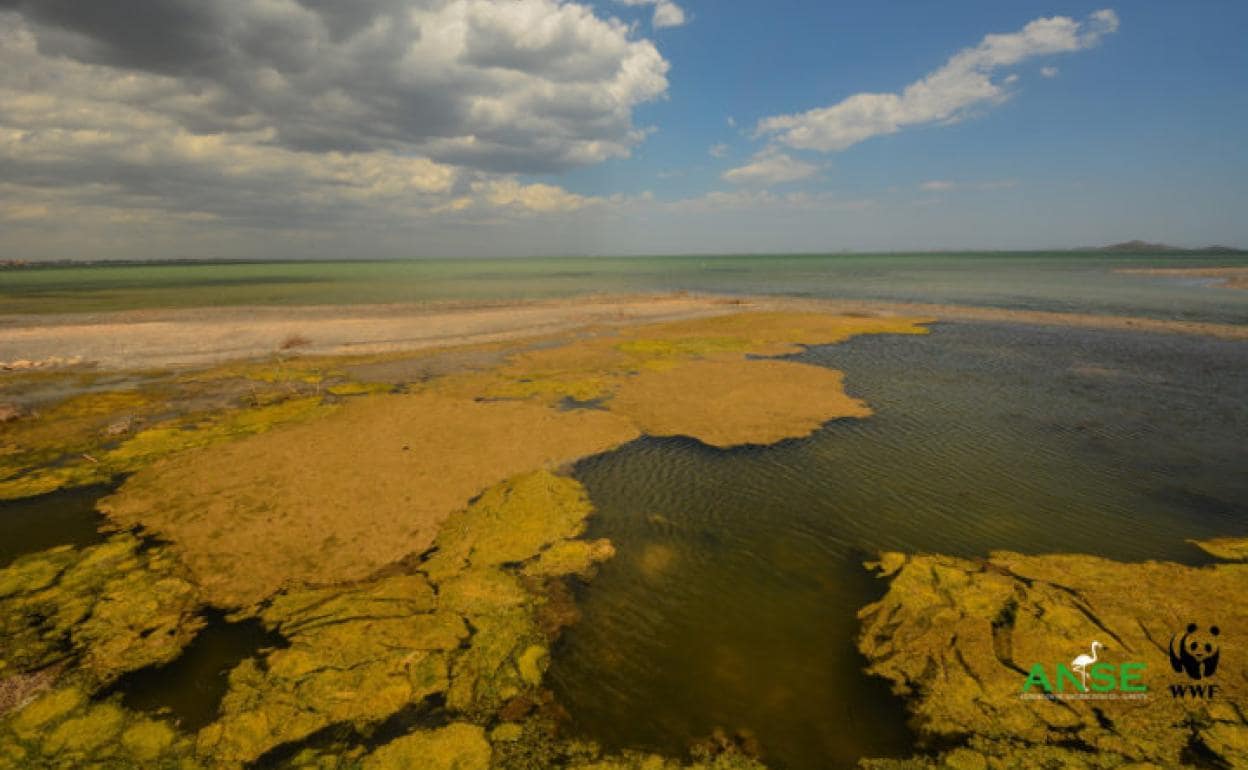 Estado de la superficie de las aguas de la laguna.