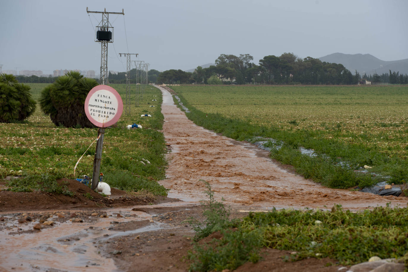 Fotos: Las lluvias provocan cinco accidentes y 68 incidencias en la Región