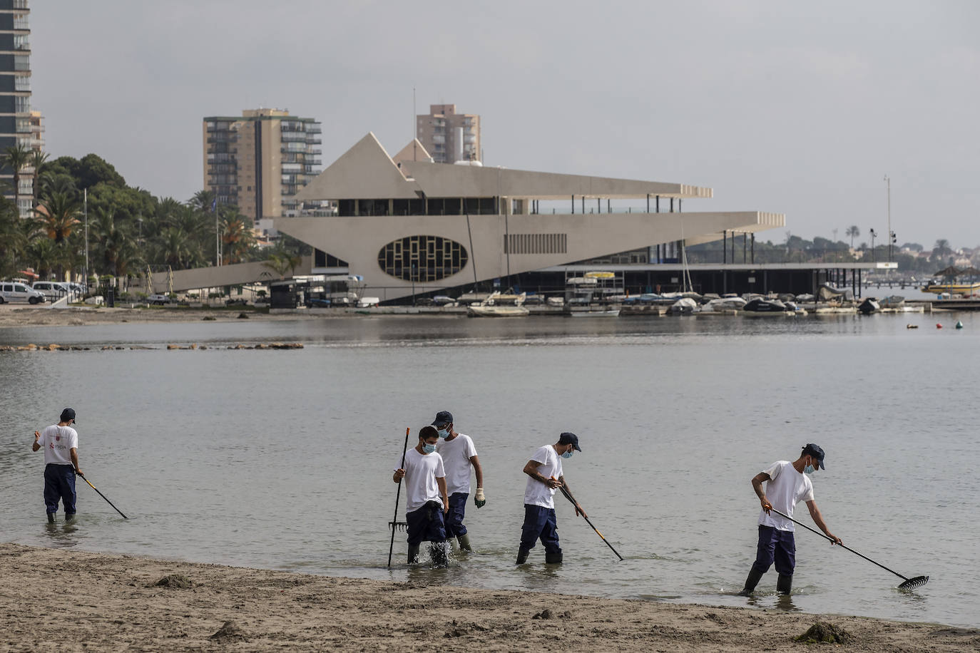 Fotos: La limpieza de las playas del Mar Menor se prorroga por las fuertes lluvias de los últimos días