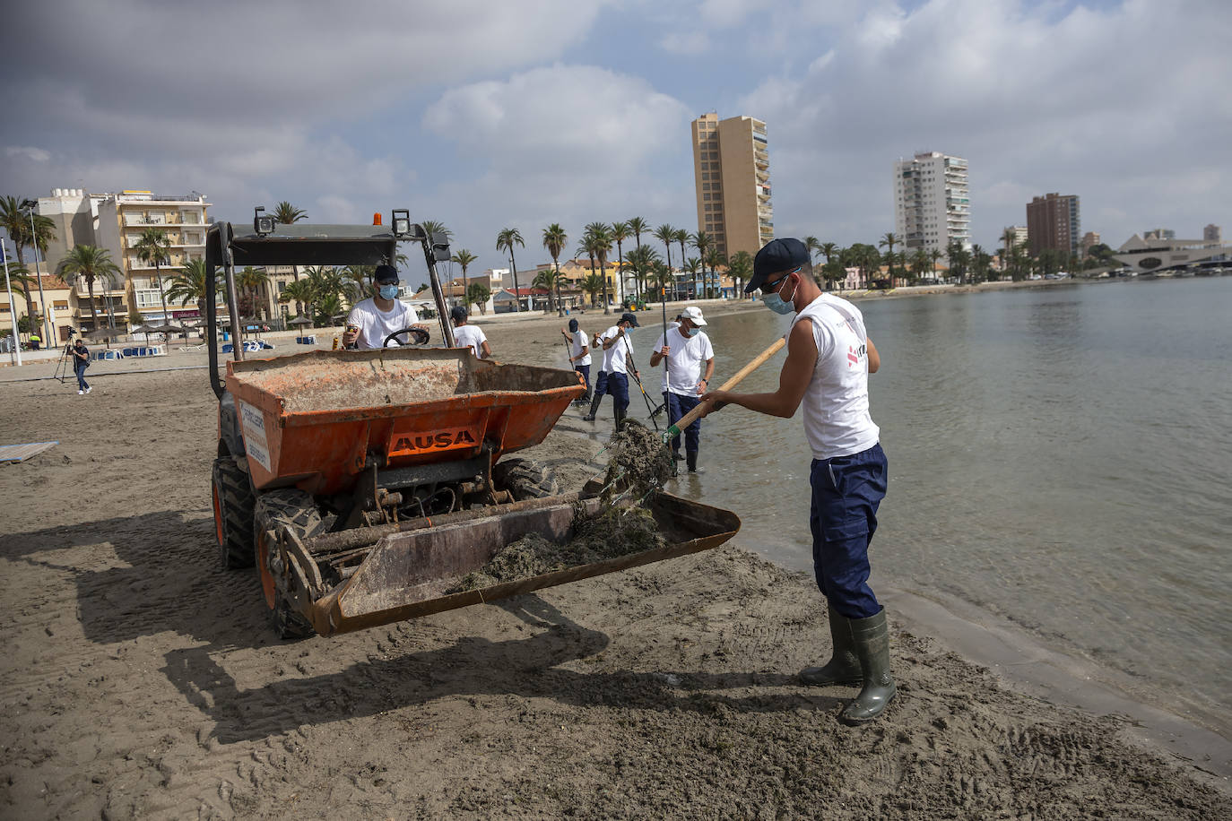 Fotos: La limpieza de las playas del Mar Menor se prorroga por las fuertes lluvias de los últimos días