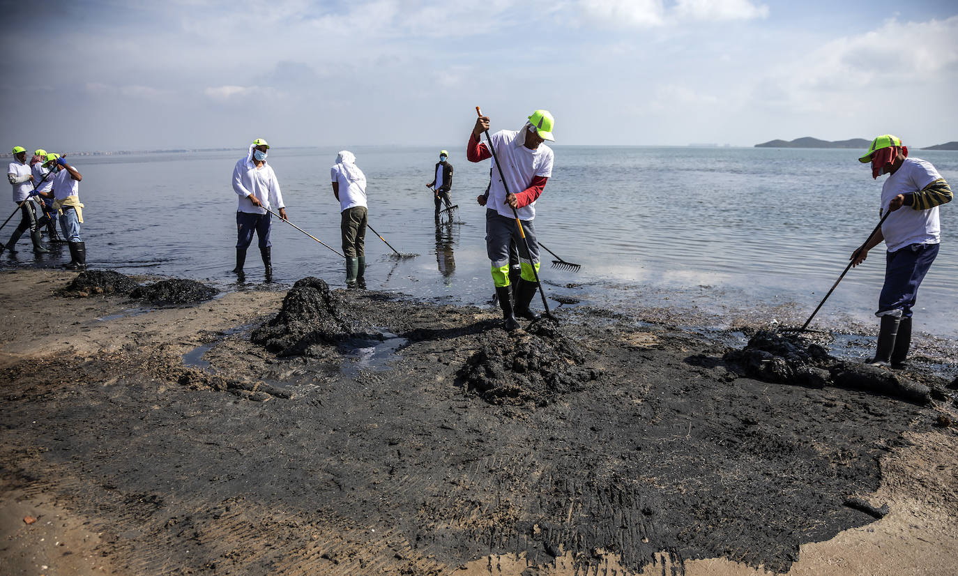 Fotos: La limpieza de las playas del Mar Menor se prorroga por las fuertes lluvias de los últimos días