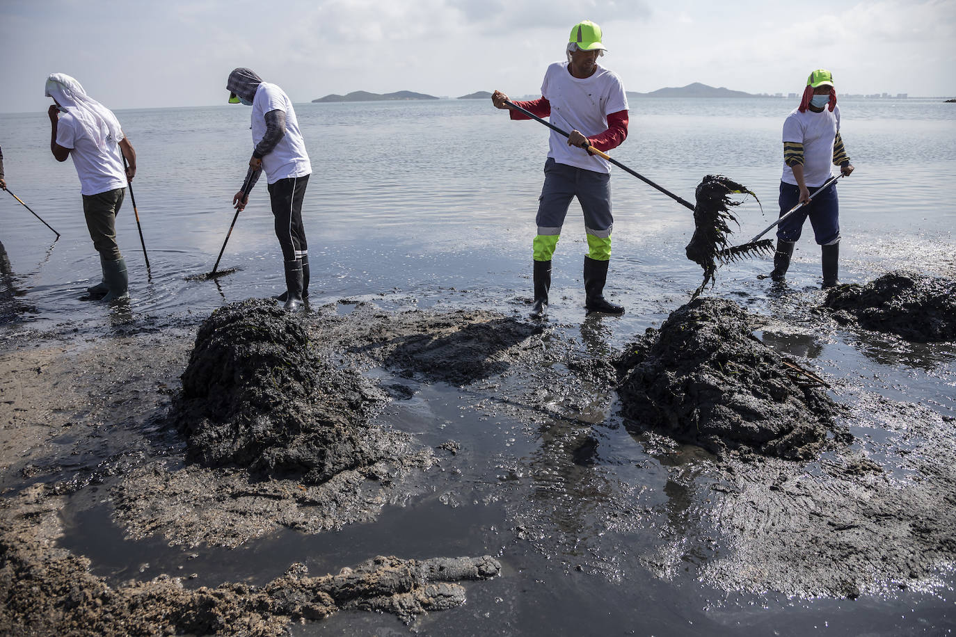 Fotos: La limpieza de las playas del Mar Menor se prorroga por las fuertes lluvias de los últimos días