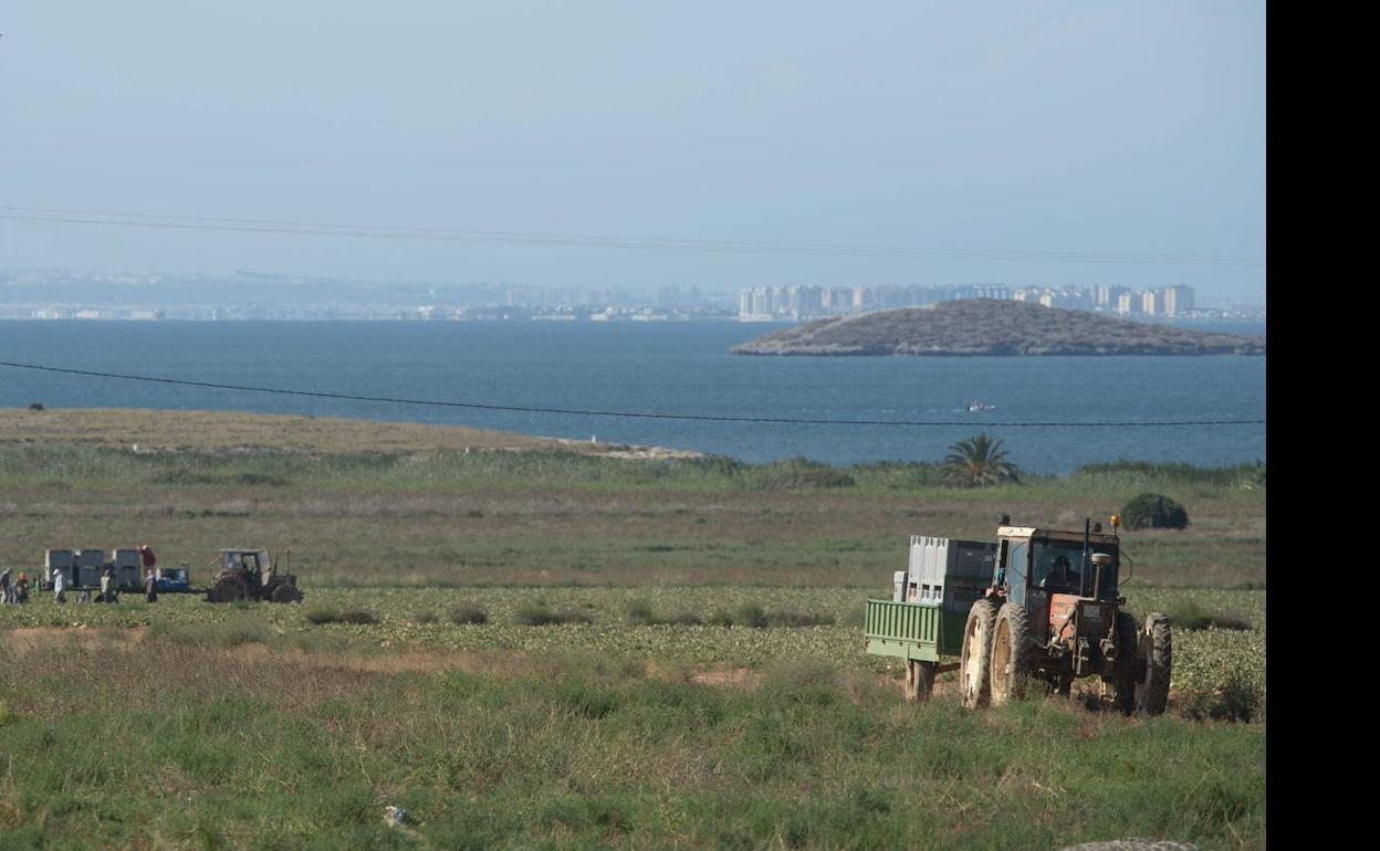 Actividad agrícola junto al Mar Menor, la semana pasada. 