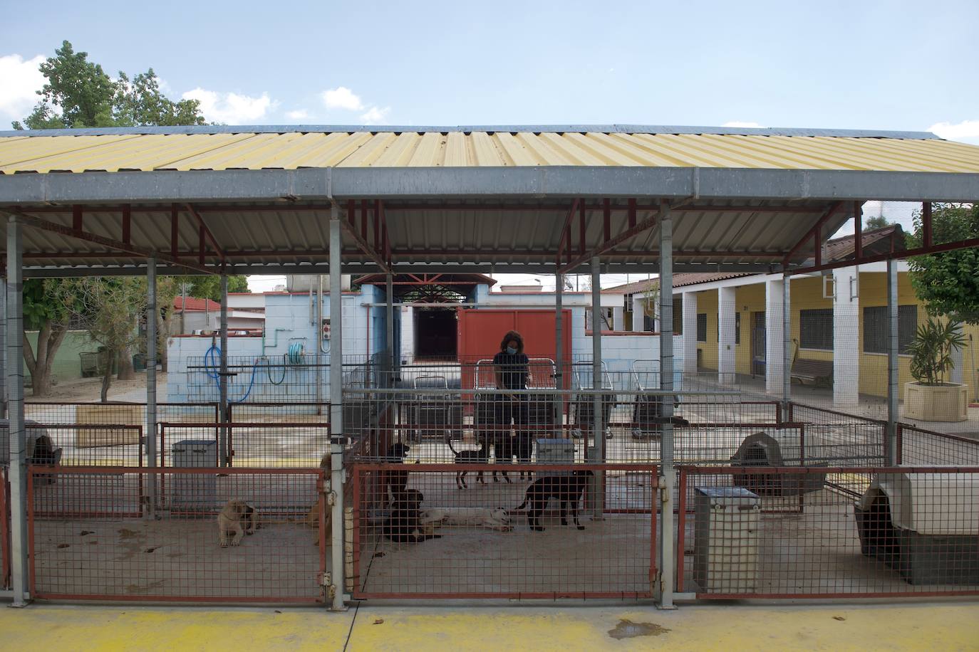 Fotos: El centro de zoonosis tendrá cuatro cuadras más tras su remodelación integral
