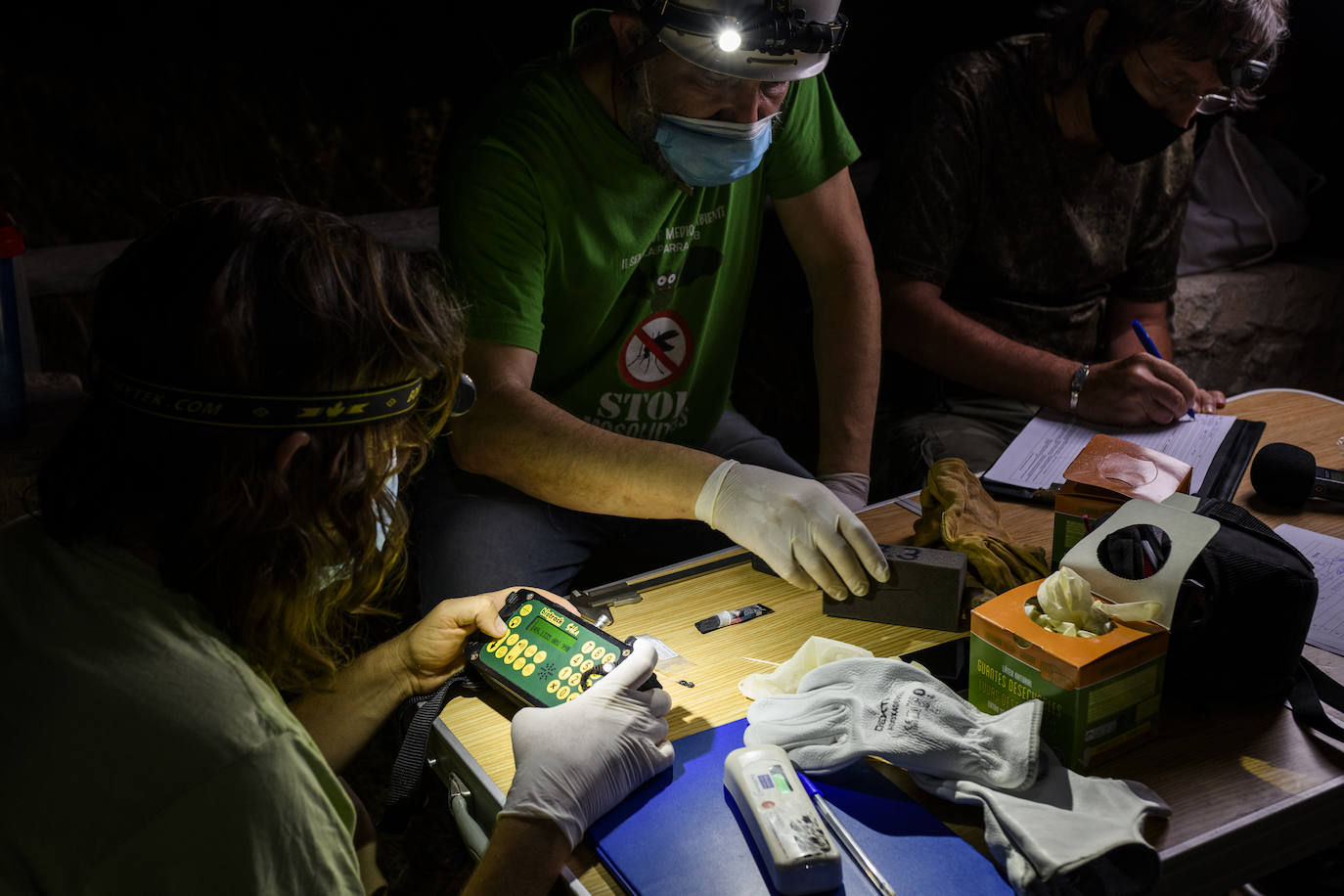 Fotos: La vida secreta del murciélago ratonero patudo