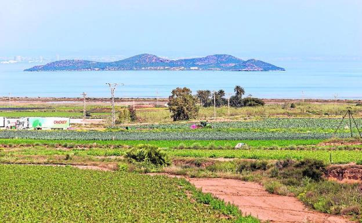 Imagen de archivo de una explotación agrícola en el entorno más cercano al Mar Menor. 