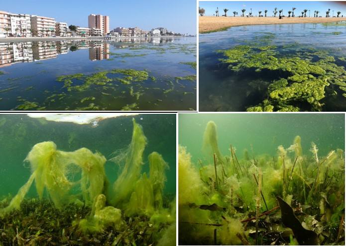 Estado del fondo del Mar Menor según el informe del Instituto Español de Oceanografía.