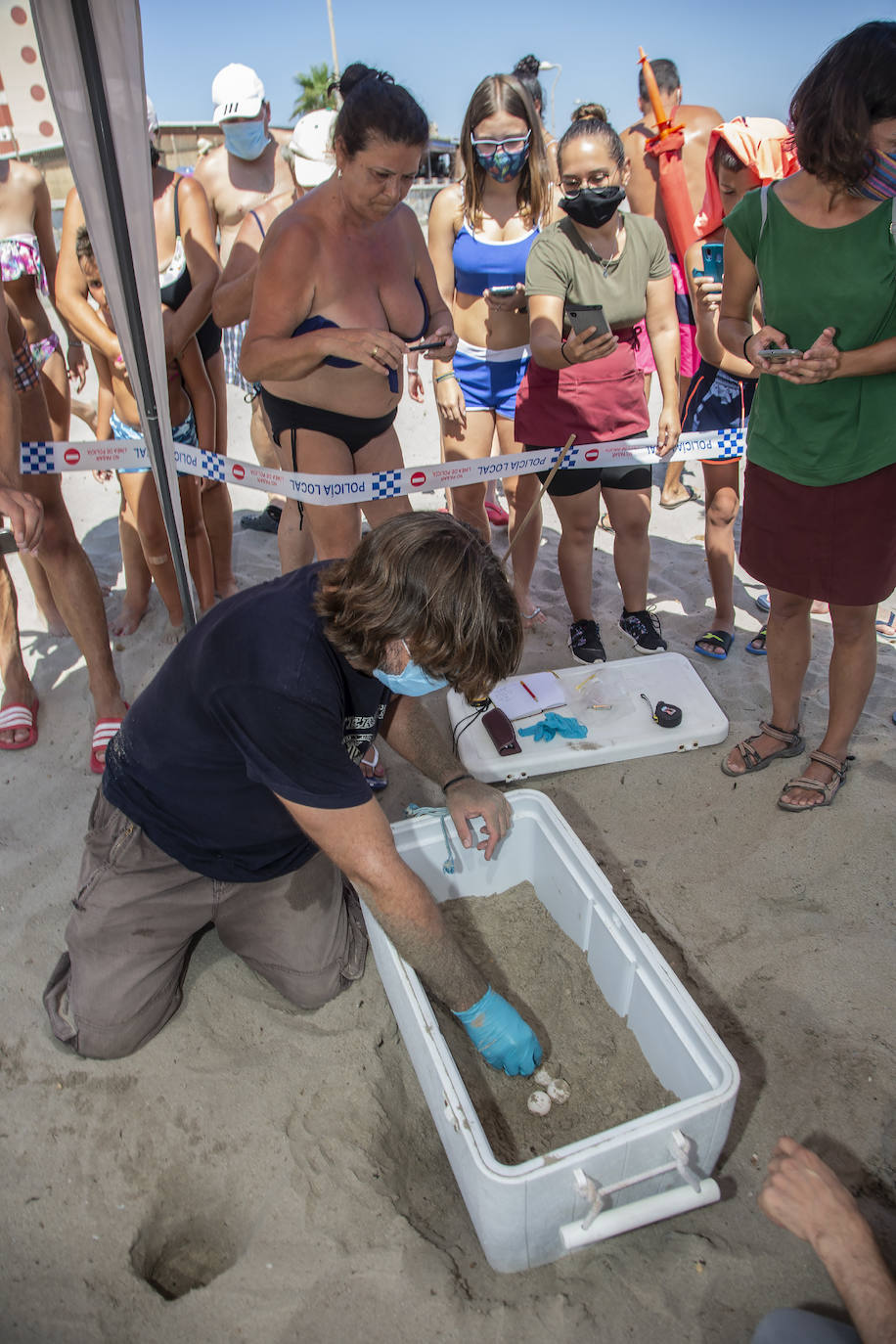 Fotos: Una tortuga boba anida en La Manga
