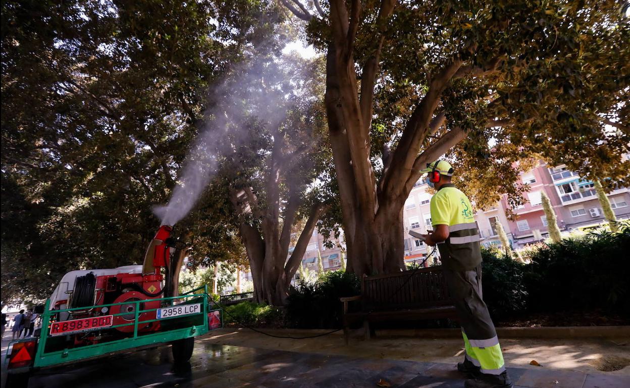 Un operario del Servicio de Parques y Jardines, al que apunta el PSRM.