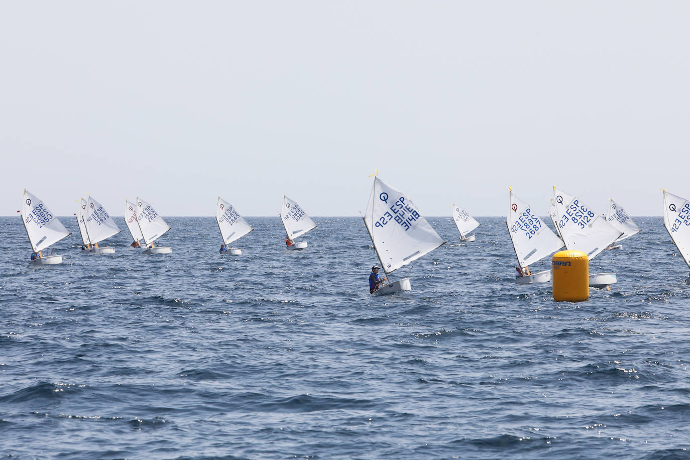 Fotos: Campeonato de España de la clase optimist en Águilas