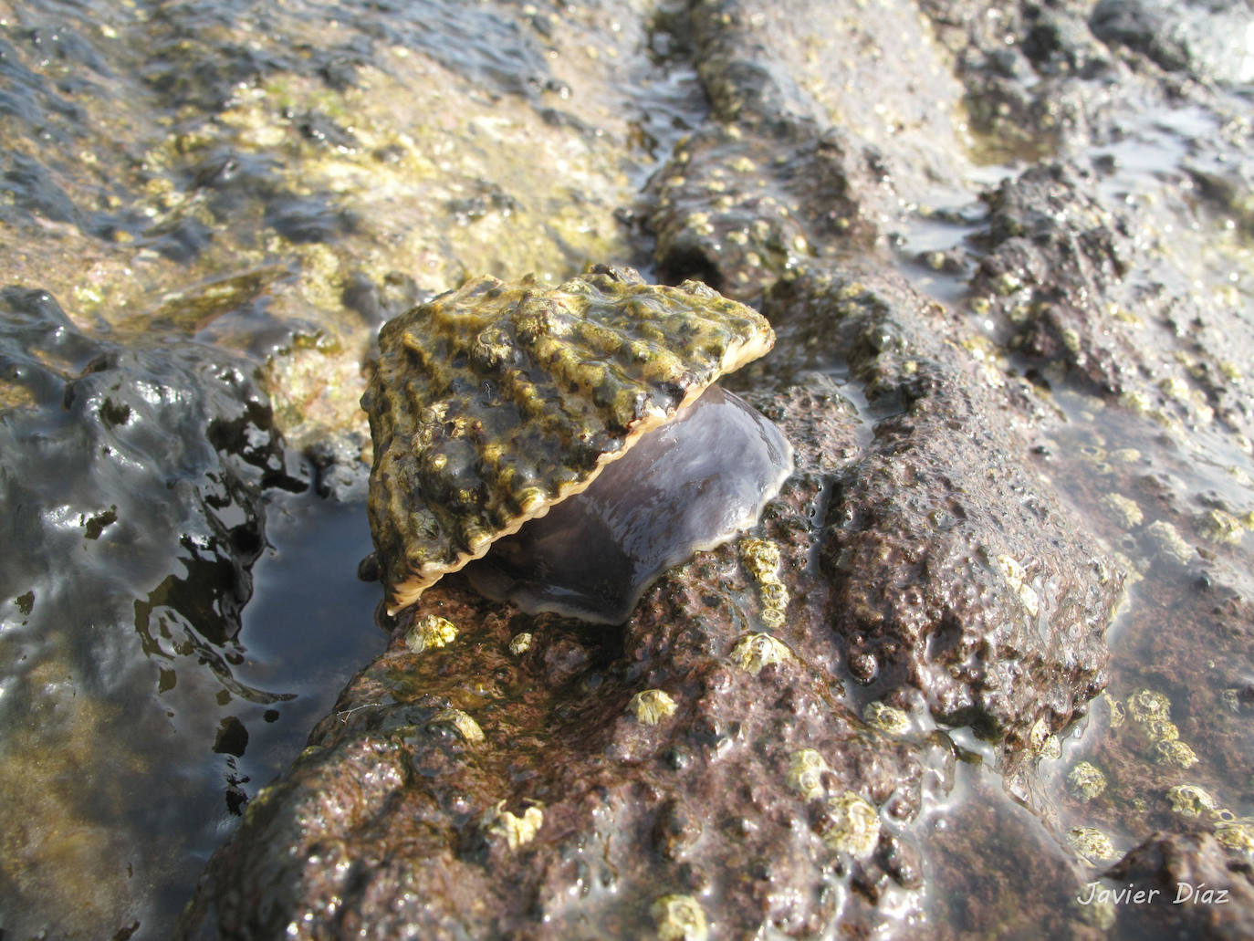 Fotos: Mucho más que una lapa